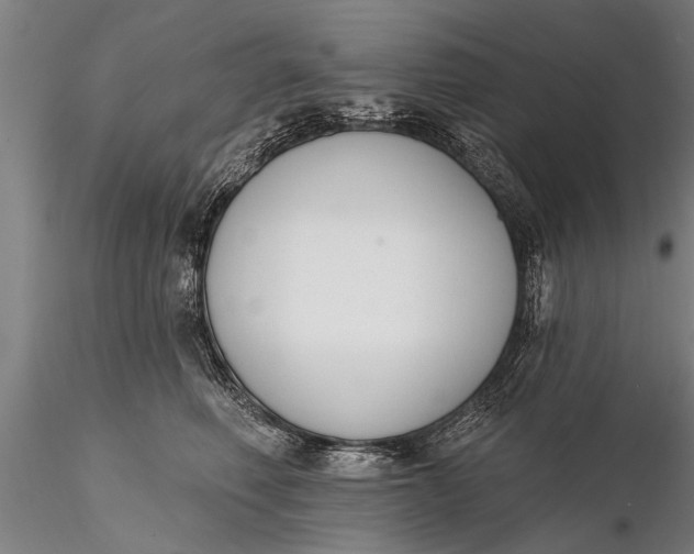 X0000116380614200912161502