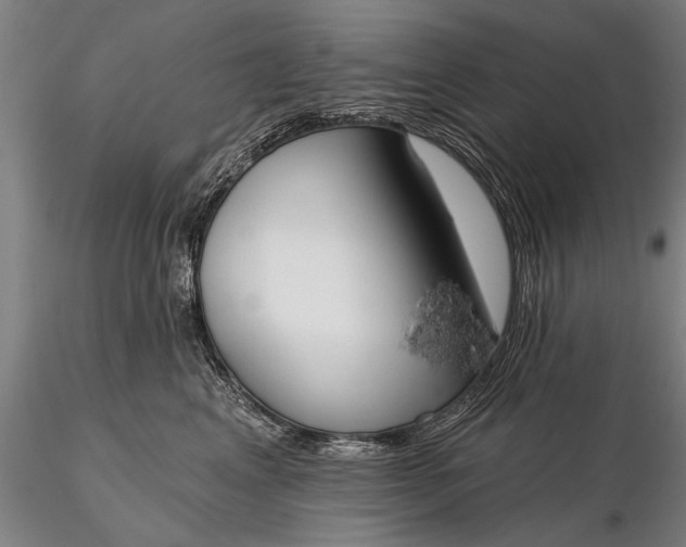 X0000116380617200912161502