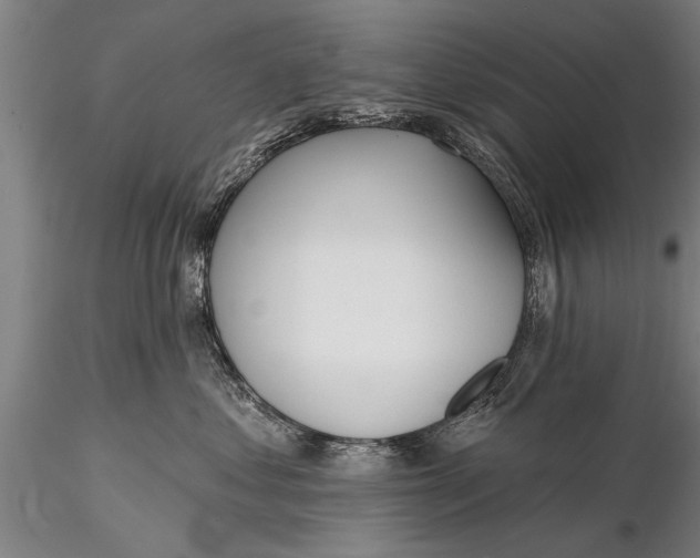X0000116380621200912161502
