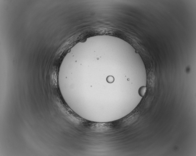 X0000116380622200912161502