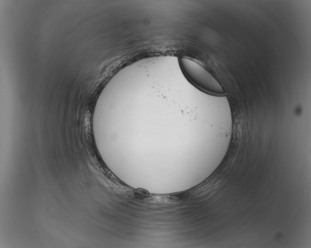 X0000116380623200912161502