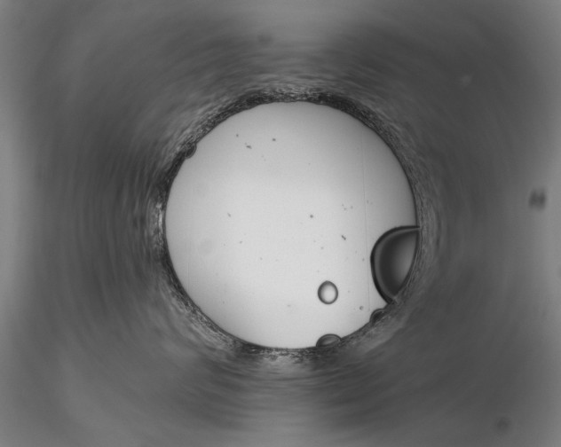 X0000116380624200912161502