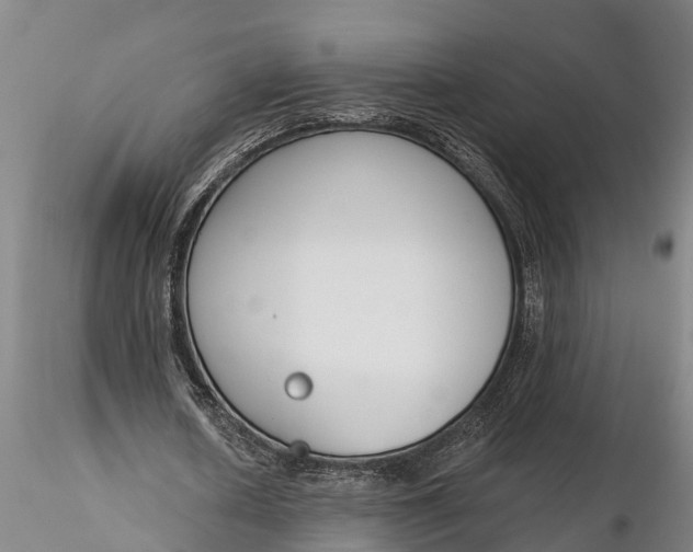 X0000116380626200912161502