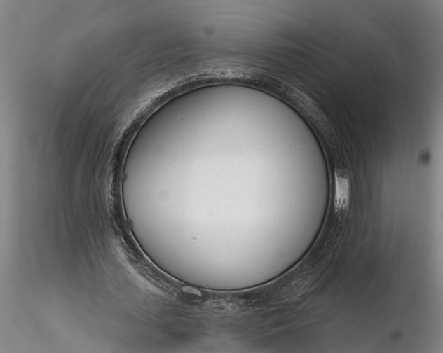 X0000116380627200912161502