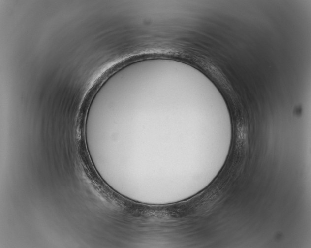 X0000116380628200912161502