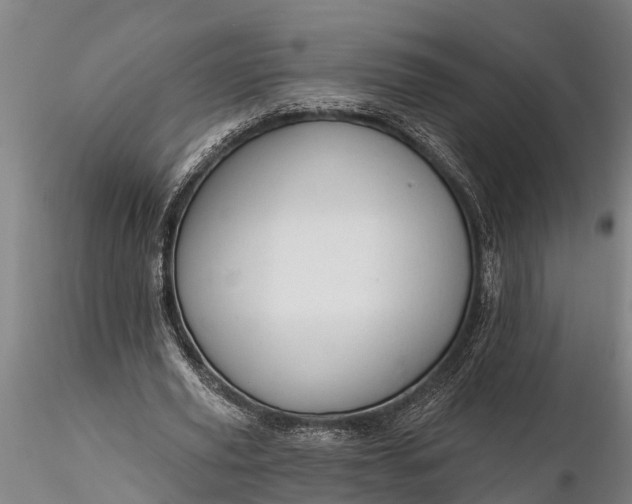 X0000116380629200912161502