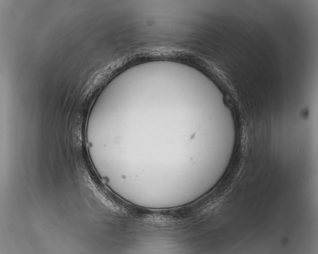 X0000116380633200912161502