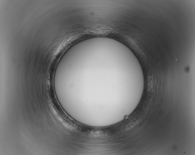 X0000116380634200912161502