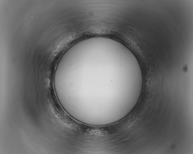 X0000116380635200912161502