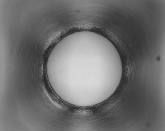 X0000116380638200912161502