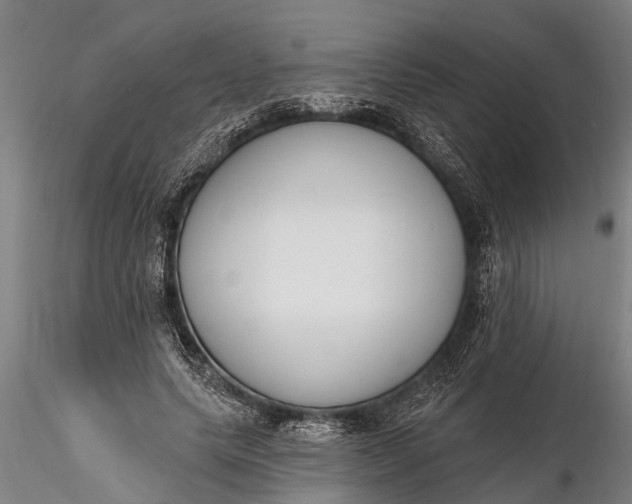 X0000116380639200912161502