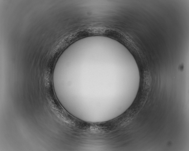 X0000116380641200912161502