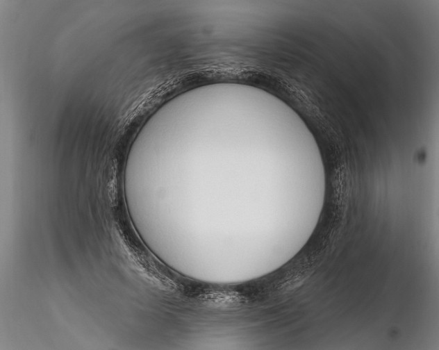 X0000116380642200912161502