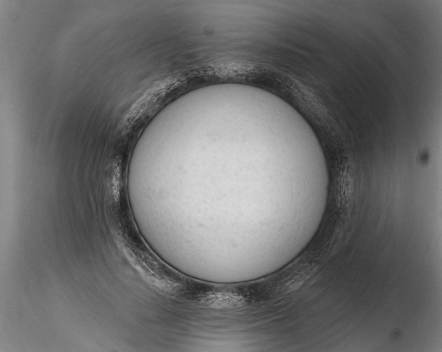 X0000116380644200912161502