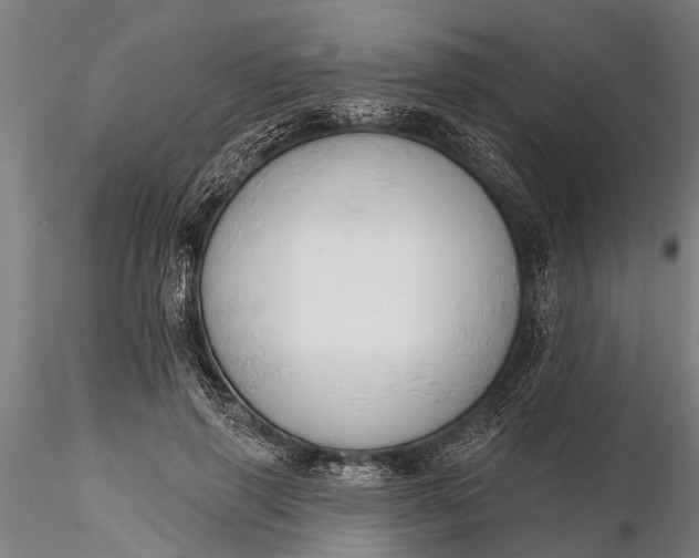 X0000116380645200912161502