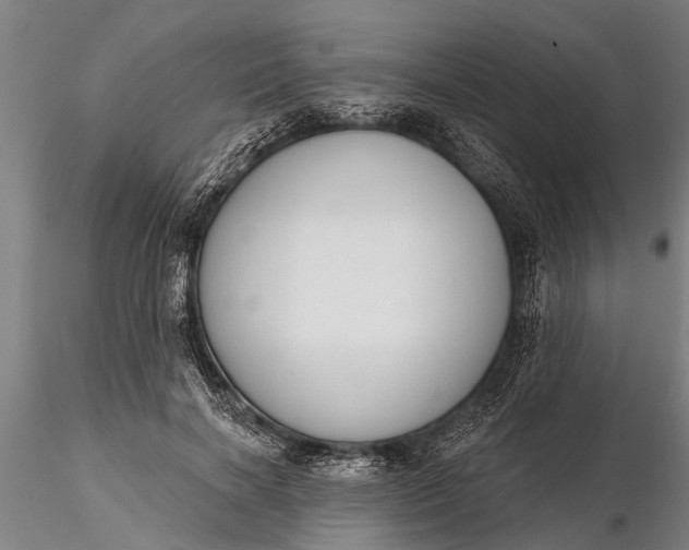X0000116380646200912161502