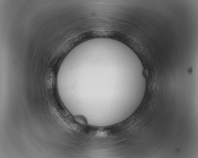 X0000116380647200912161502
