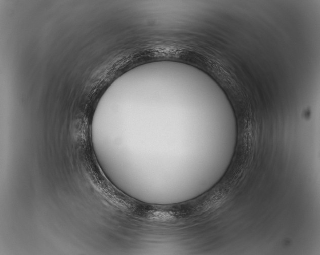 X0000116380649200912161502