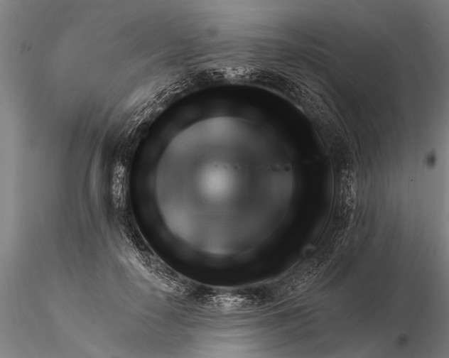X0000116380650200912161502