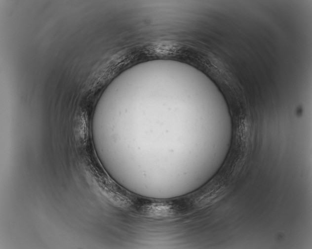 X0000116380651200912161502
