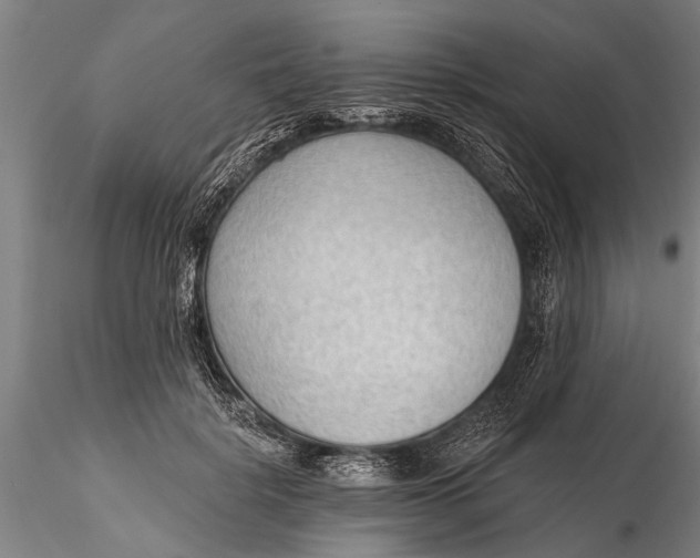 X0000116380652200912161502