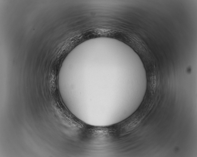 X0000116380653200912161502