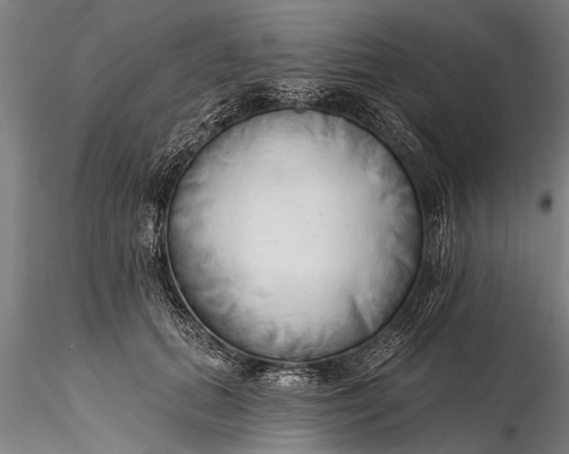 X0000116380655200912161502