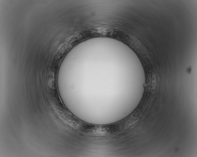 X0000116380656200912161502