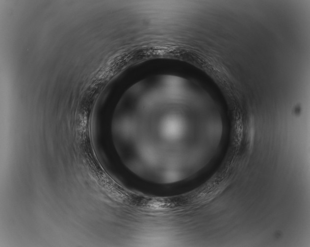 X0000116380657200912161502
