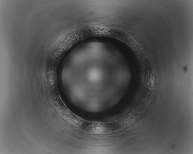 X0000116380658200912161502