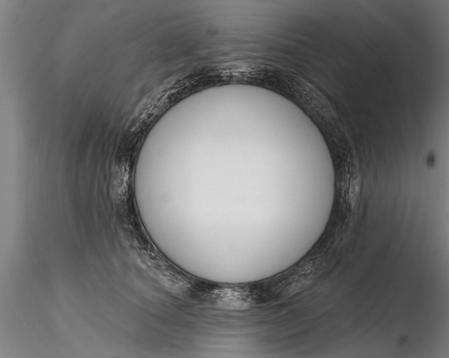 X0000116380660200912161502