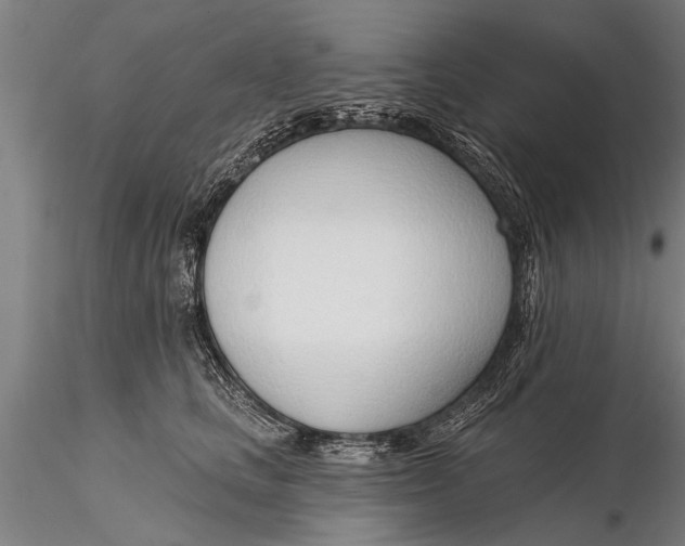 X0000116380661200912161502