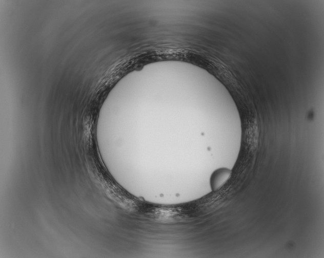 X0000116380662200912161502