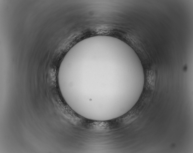 X0000116380667200912161502