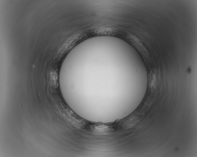 X0000116380669200912161502