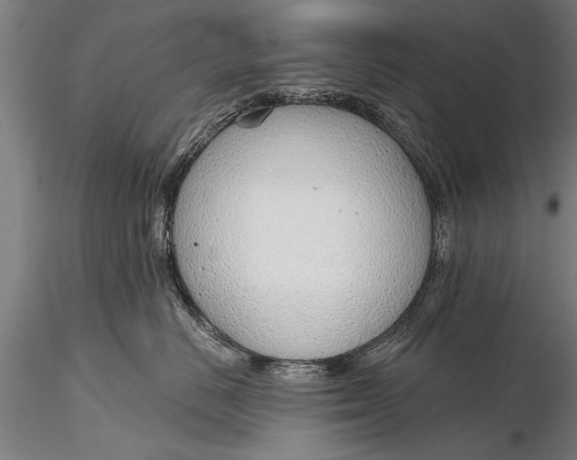 X0000116380670200912161502