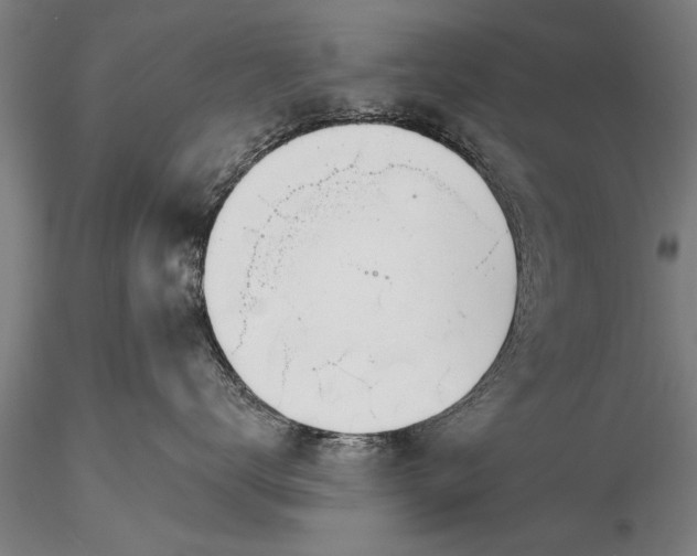 X0000116380672200912161502
