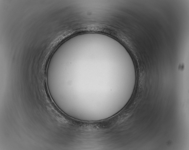X0000116380673200912161502