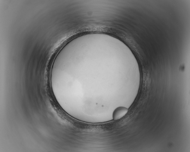 X0000116380674200912161502