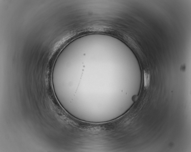 X0000116380675200912161502