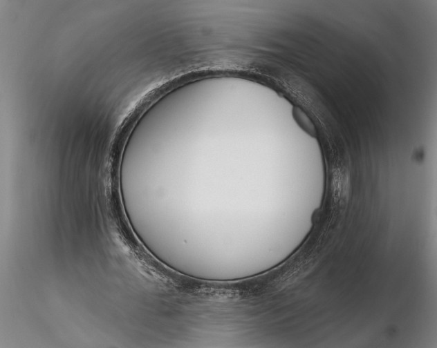 X0000116380676200912161502