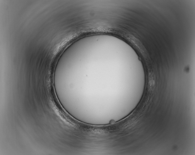 X0000116380677200912161502