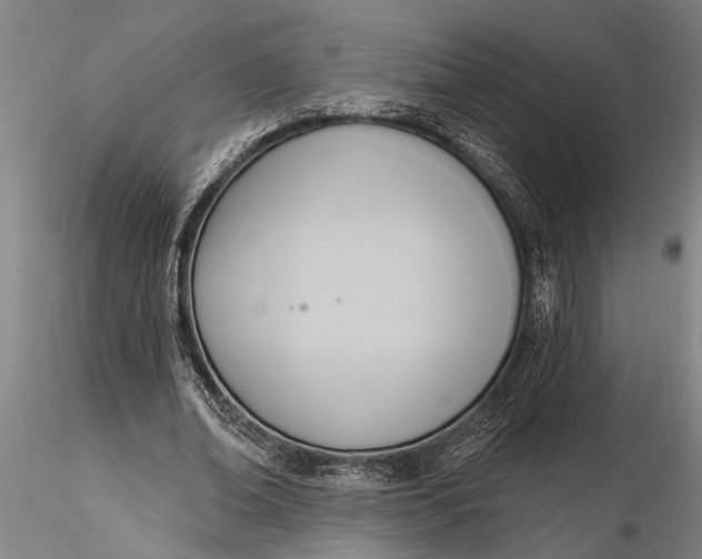 X0000116380678200912161502