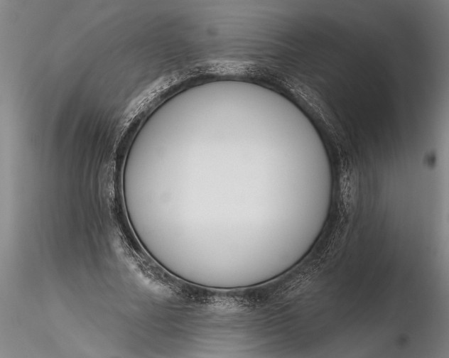 X0000116380682200912161502