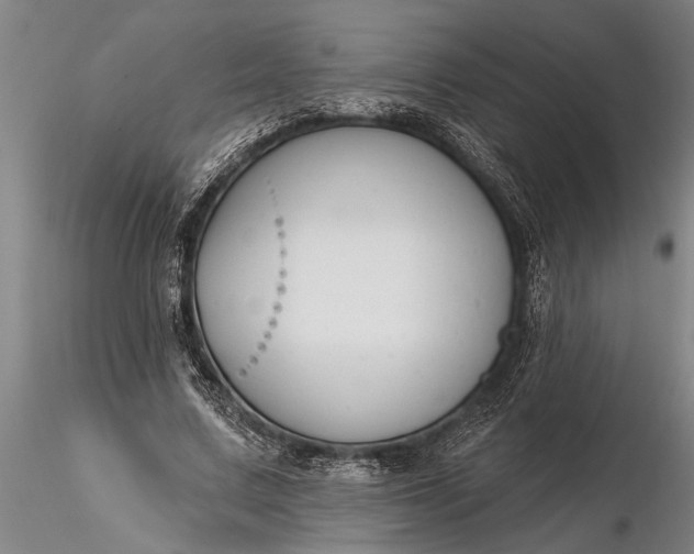 X0000116380683200912161502