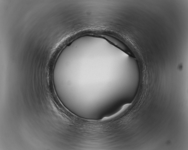 X0000116380684200912161502