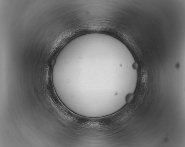 X0000116380685200912161502