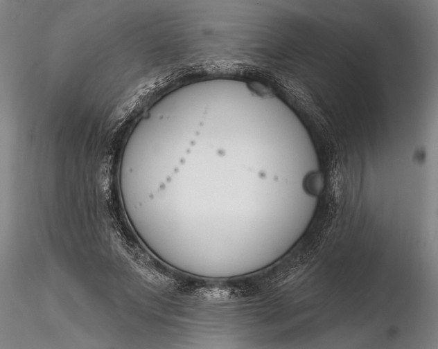X0000116380687200912161501