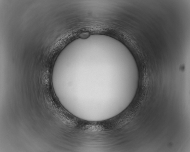 X0000116380689200912161501
