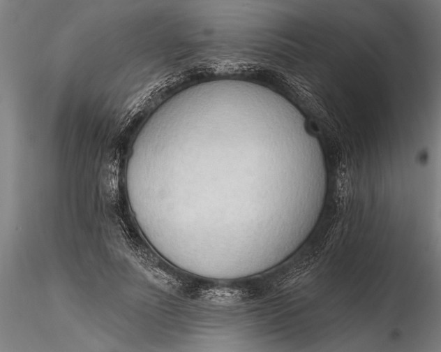 X0000116380691200912161501